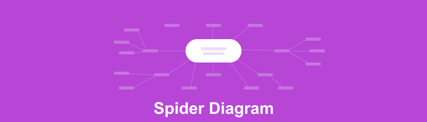 Diagrama păianjenului