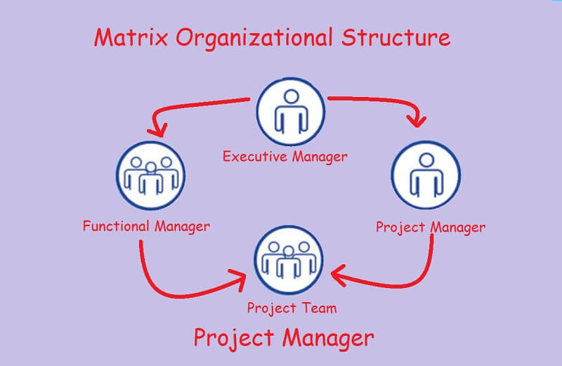 Company Org Chart Matrix