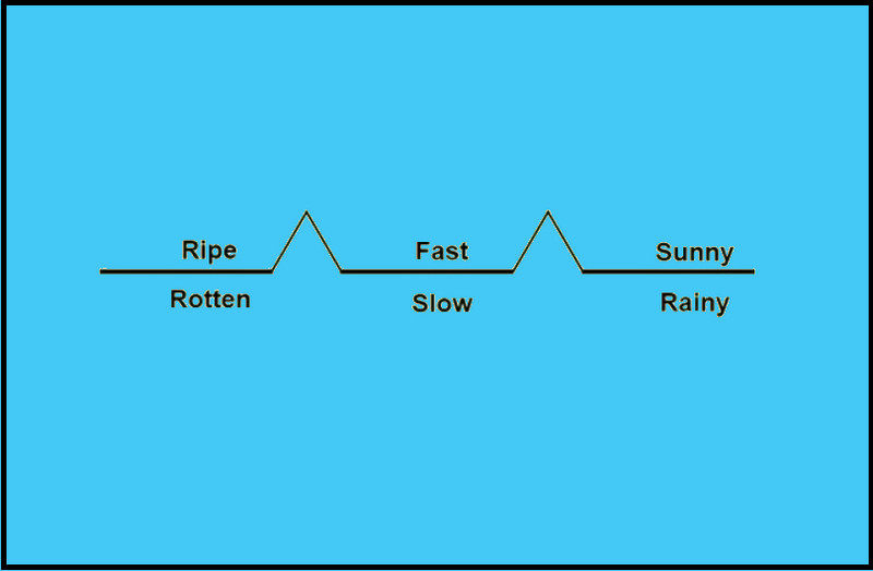 Mapa del puente