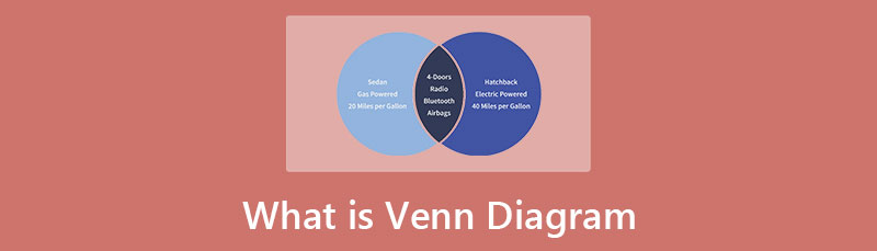 Diagram Venna