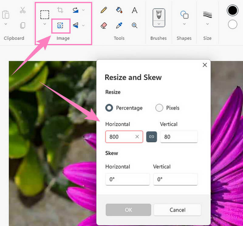 Paint Percentage Setting