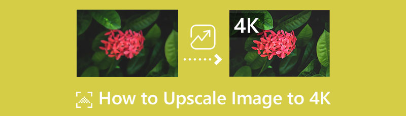 4k पर्यंत अपस्केल प्रतिमा