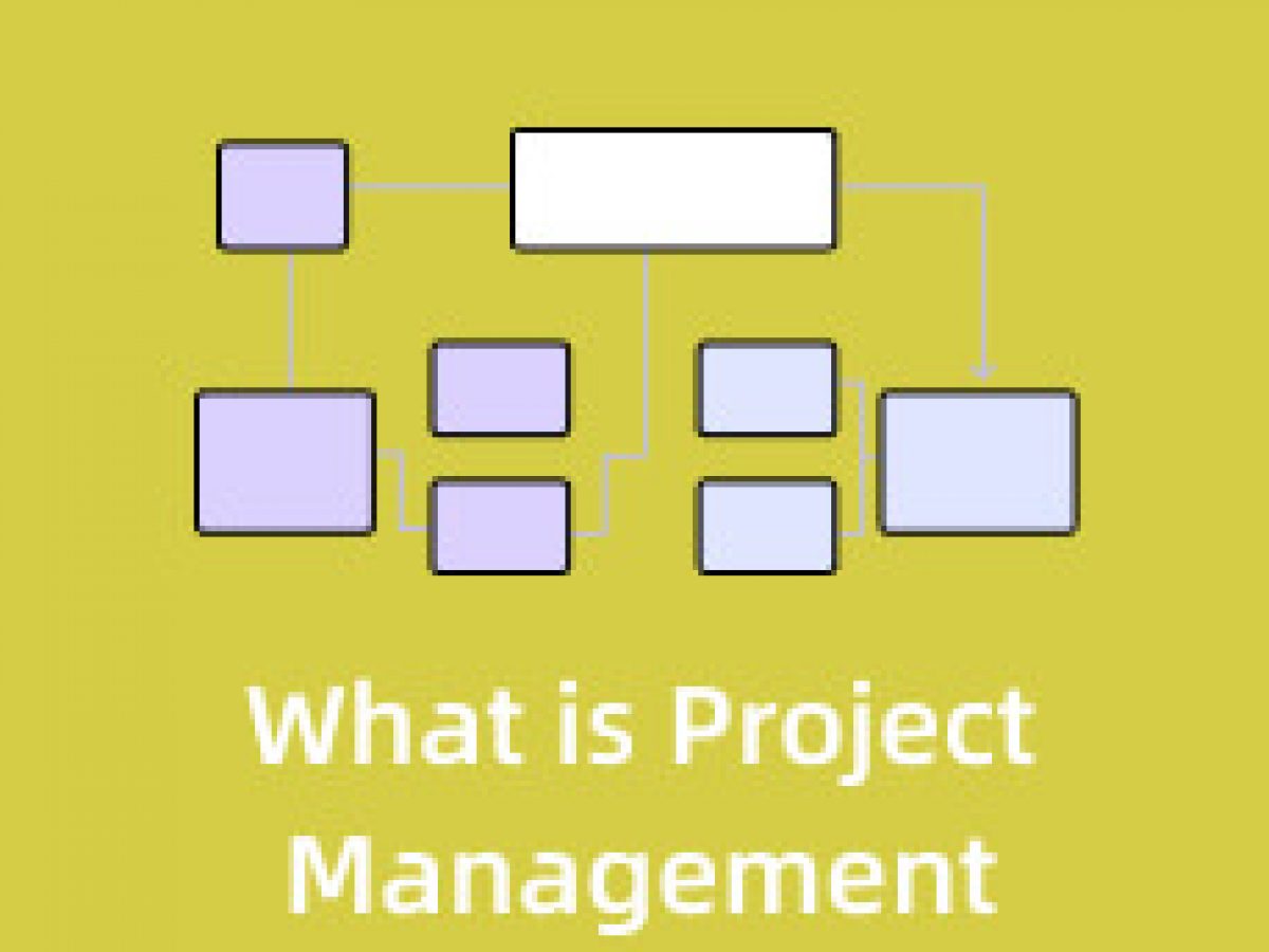 Project Management Definition Types Skills and Tutorial