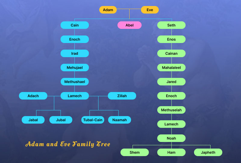 Adam Eve zuhaitz genealogikoa