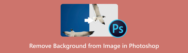 Photoshop'ta Görüntüden Arka Planı Kaldırma