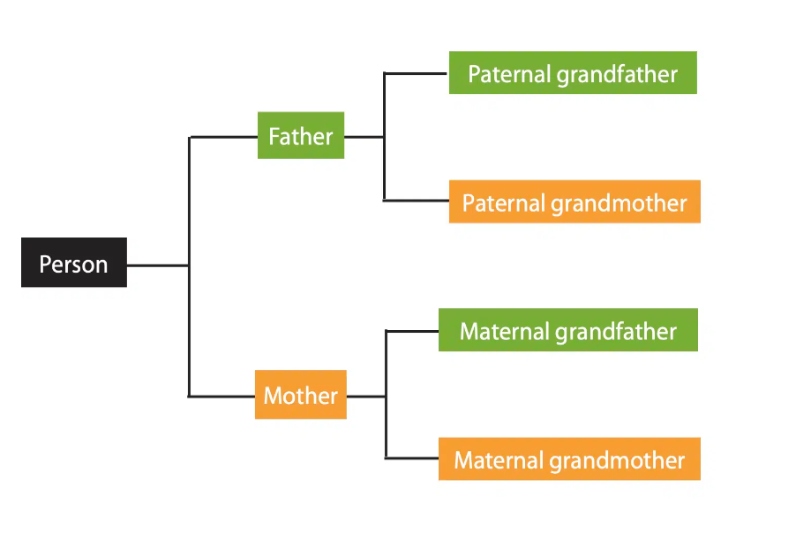 Ancestral Family Tree Chart Example