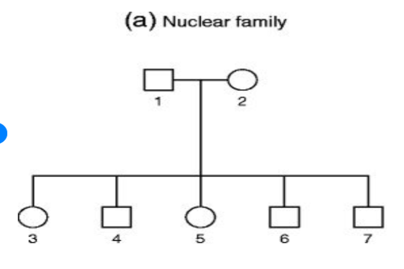 Exemplu de diagramă de familie nucleară simplă