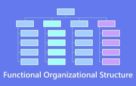 Functional Organizational Structure S