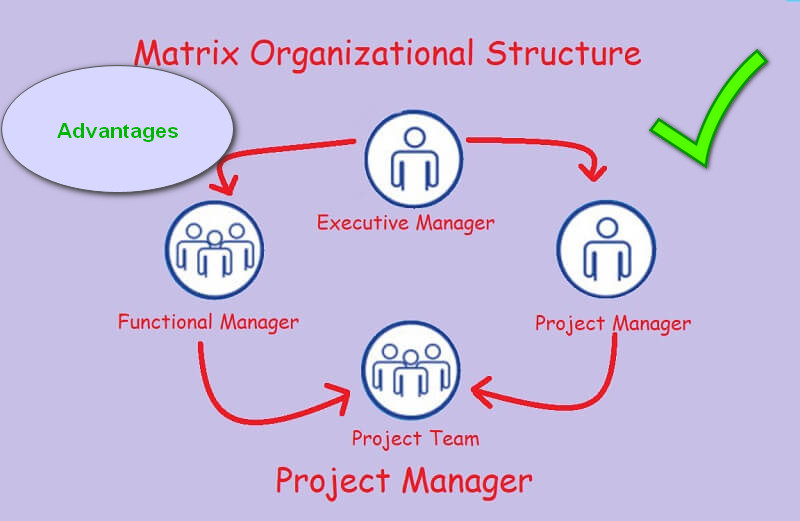 Voordelen van matrixorganisatiestructuur