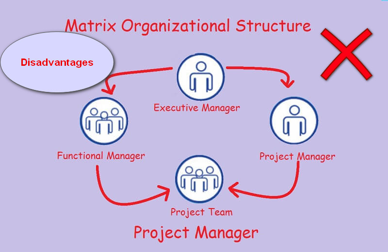 Kekurangan Struktur Organisasi Matriks