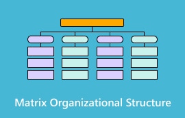 Matrix-Organisationsstruktur S