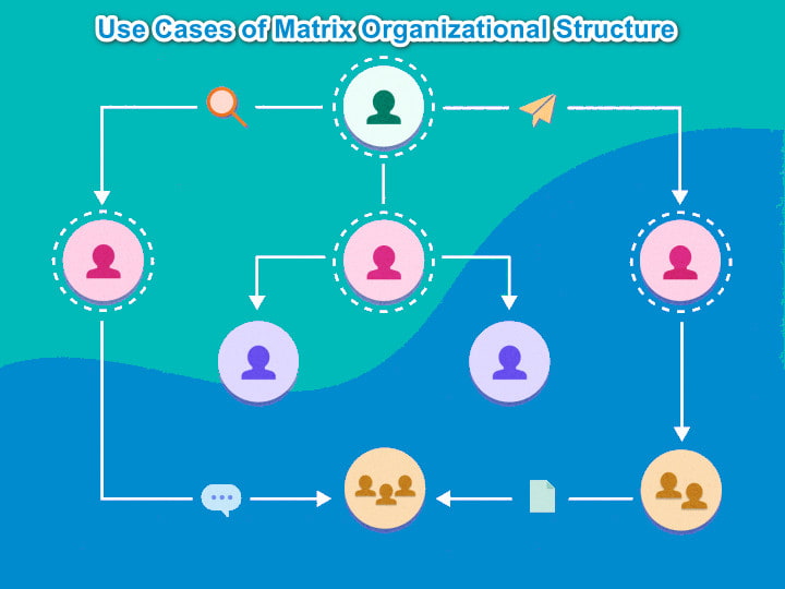 Matrix Organizational Structure Use Cases