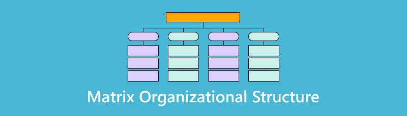 Struktur Organisasi Matriks