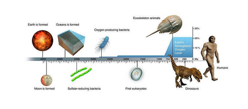 Cronograma de desenvolvimento da Terra