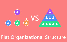 Estructura organitzativa plana