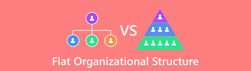 Struktura e sheshtë organizative