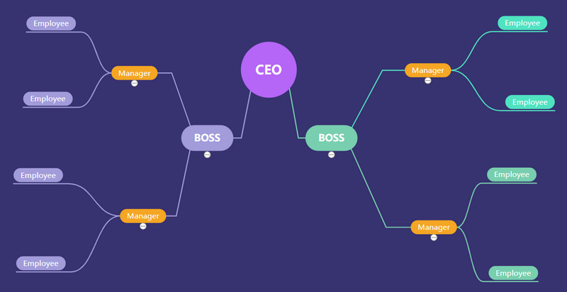 Hierarchical Organizational Structure Example