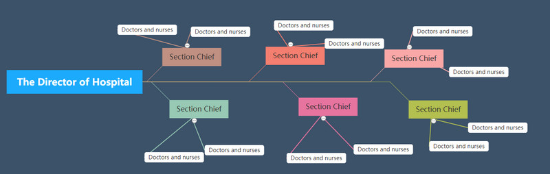 Příklad diagramu nemocniční organizace