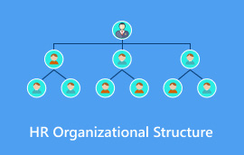 Hr Organizatoriskā struktūra