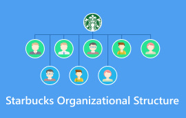 Structura organizațională Starbucks