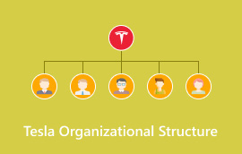 Tesla Organizational Structure-s