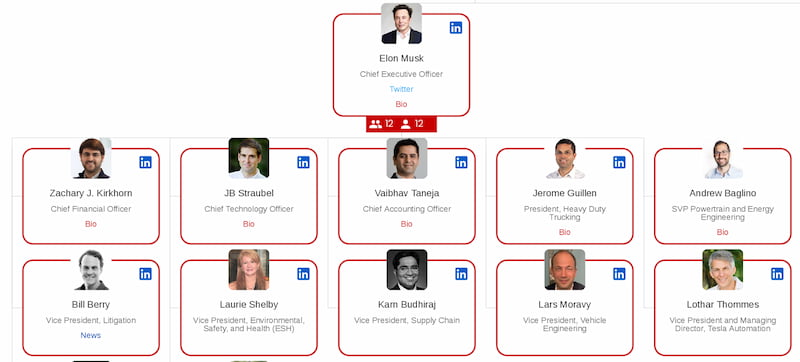 Tesla'nın Organizasyon Yapısı Nedir?