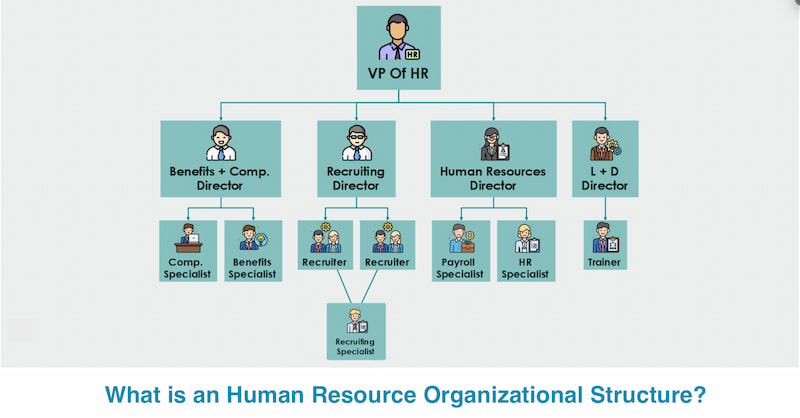 Qual é a estrutura organizacional de RH