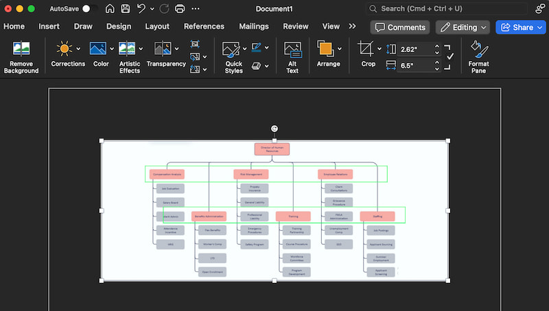 Word Hr diagrama sortzea