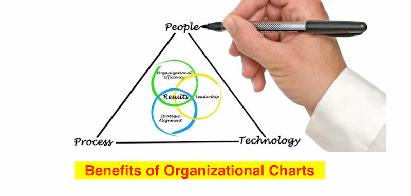 Voordelen van de organisatiestructuur