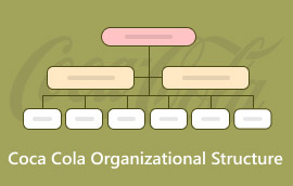 Coca Cola organisasiestruktuur