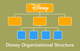 Struktur Organisasi Disney