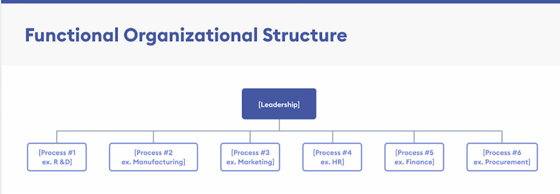 Functionele organisatiestructuur