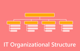 it Estructura organitzativa