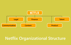 Struktur Organisasi Netflix