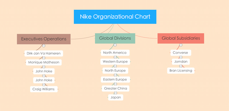 Struktura organizative e Nike Companys