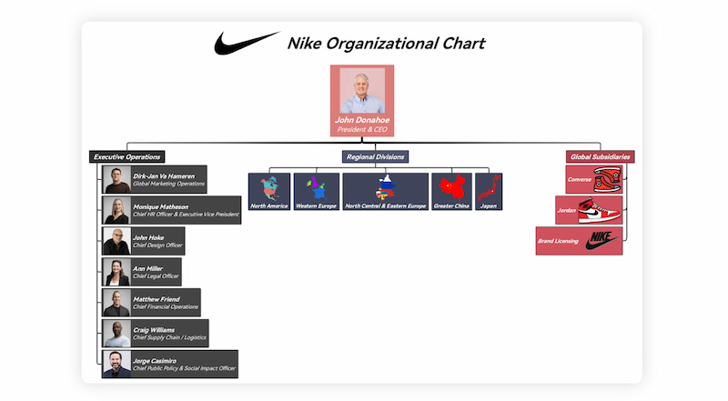 Organizační struktura Niki