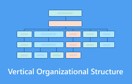 Structura organizatorica verticala S