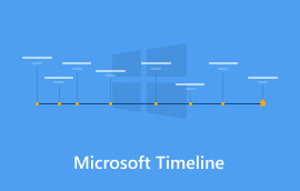 Què va fer que Microsoft tingués èxit